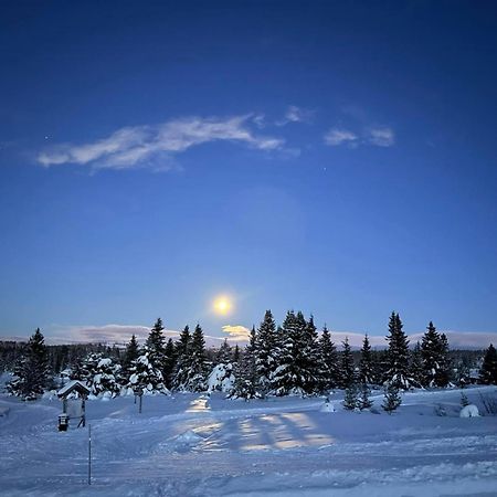 Nordseter Fjellpark, Hyttegrend المظهر الخارجي الصورة