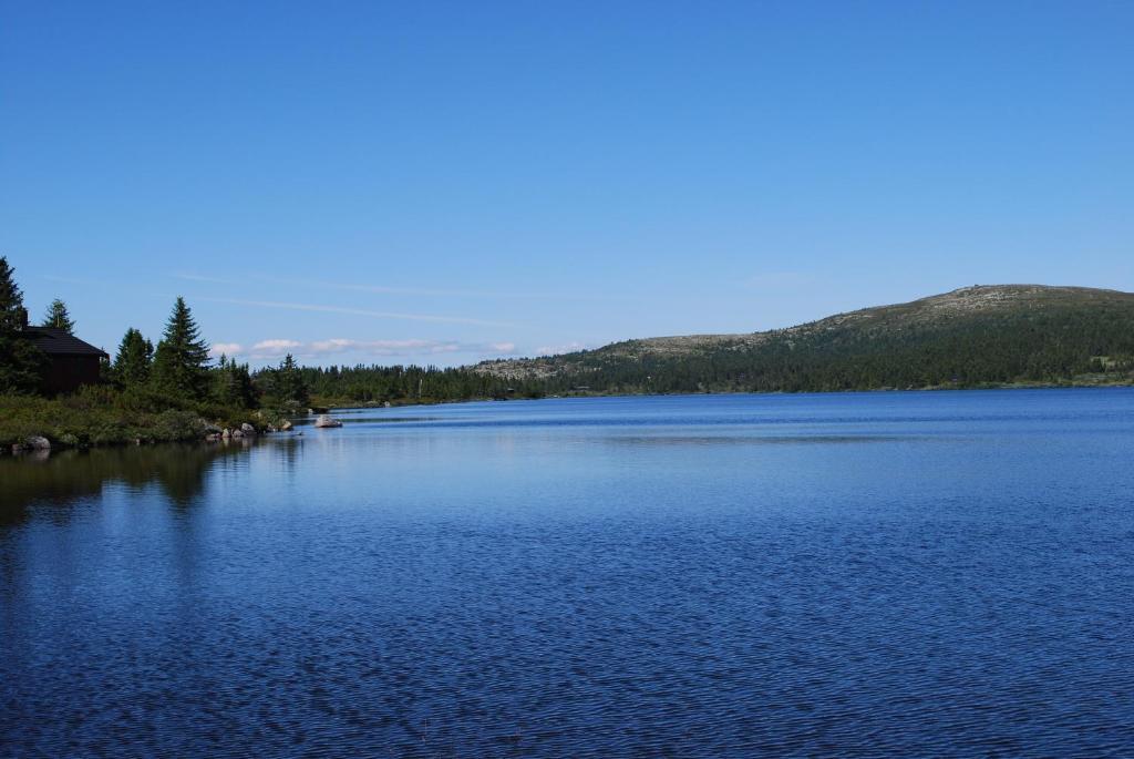 Nordseter Fjellpark, Hyttegrend المظهر الخارجي الصورة