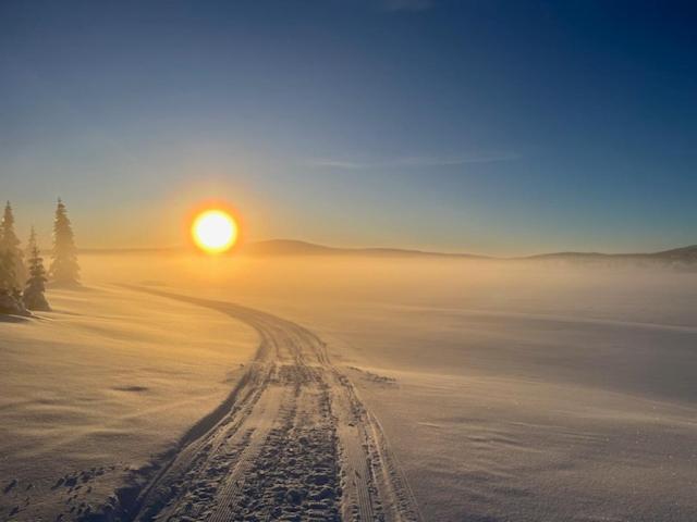 Nordseter Fjellpark, Hyttegrend المظهر الخارجي الصورة