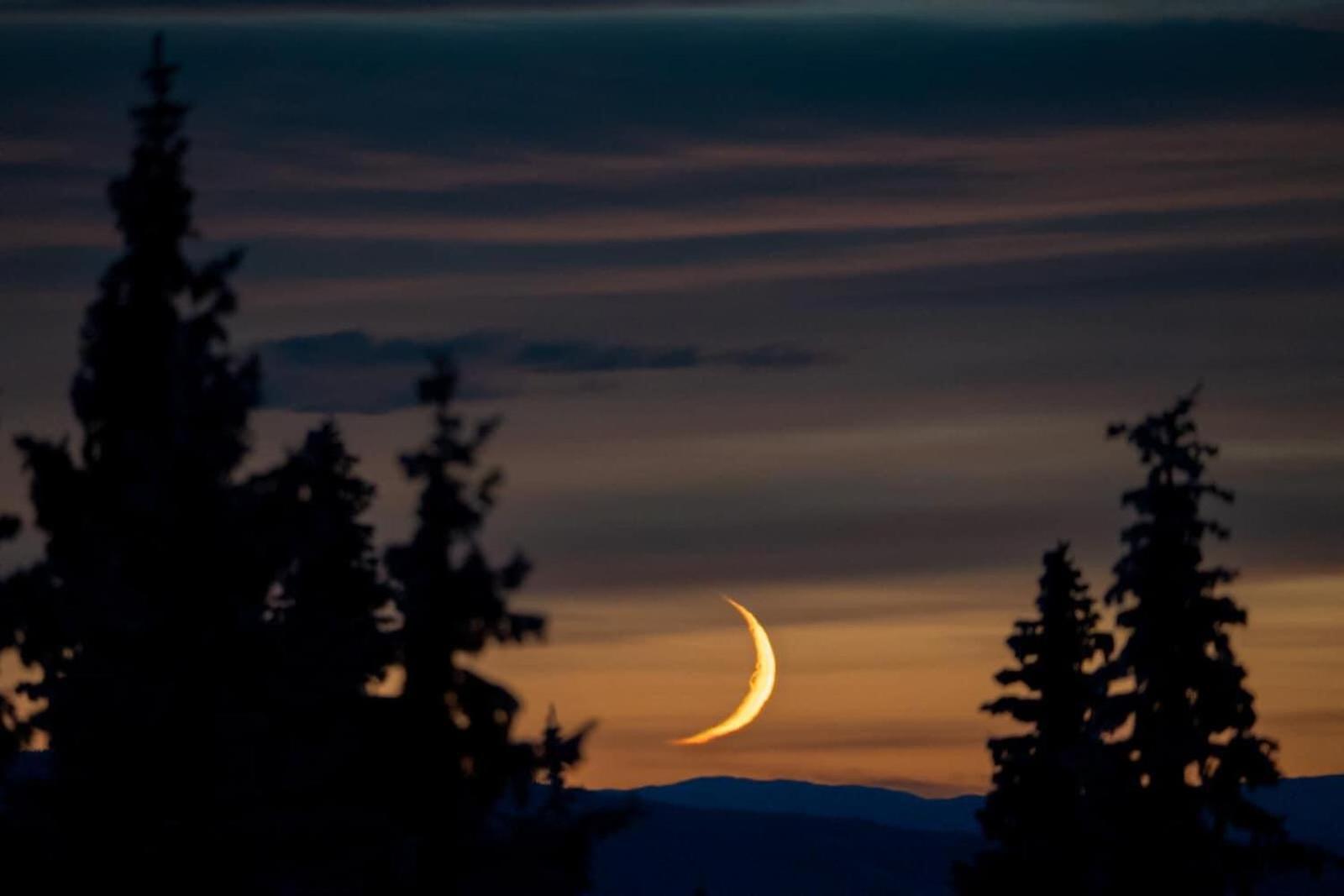 Nordseter Fjellpark, Hyttegrend المظهر الخارجي الصورة