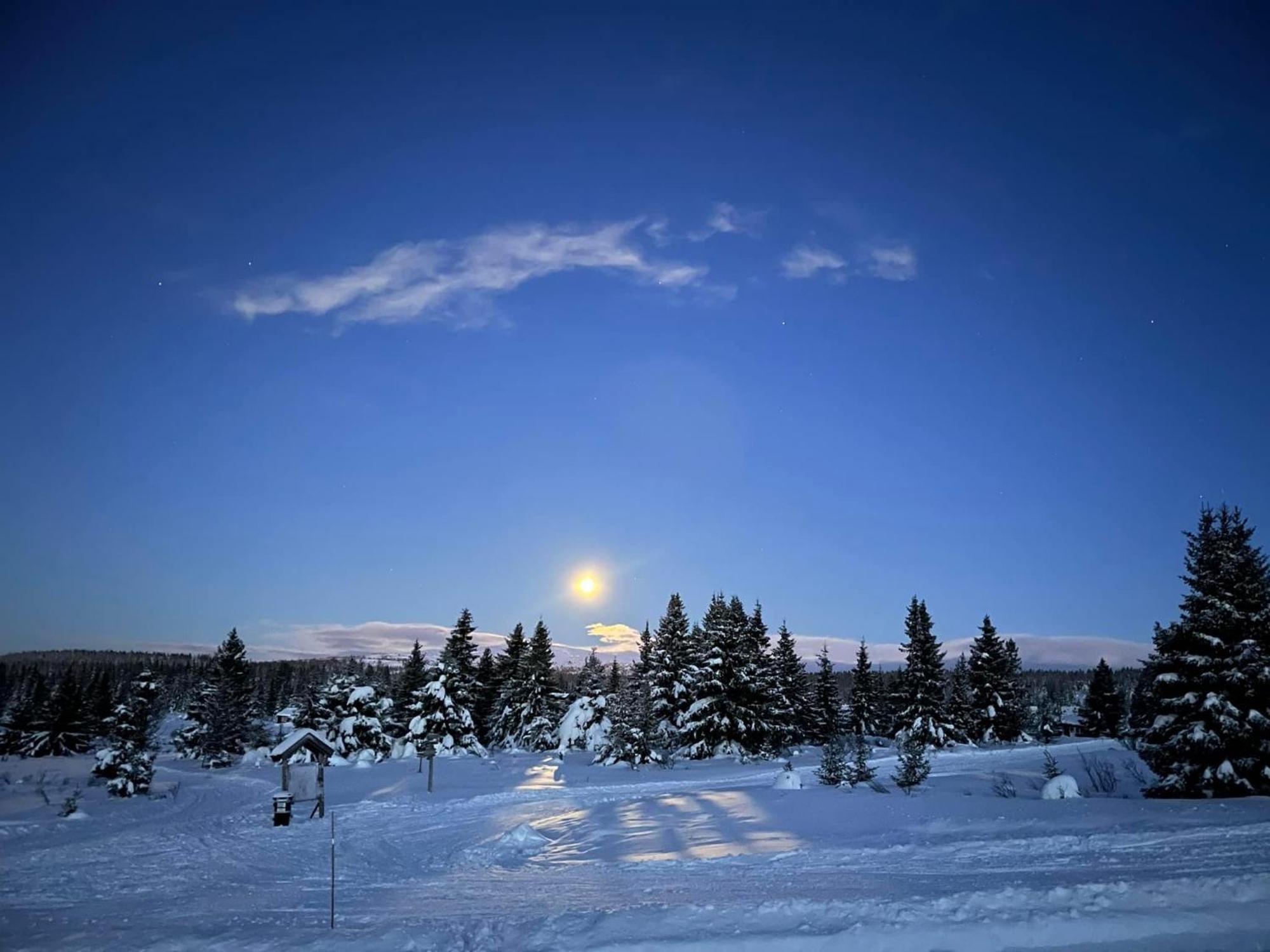 Nordseter Fjellpark, Hyttegrend المظهر الخارجي الصورة