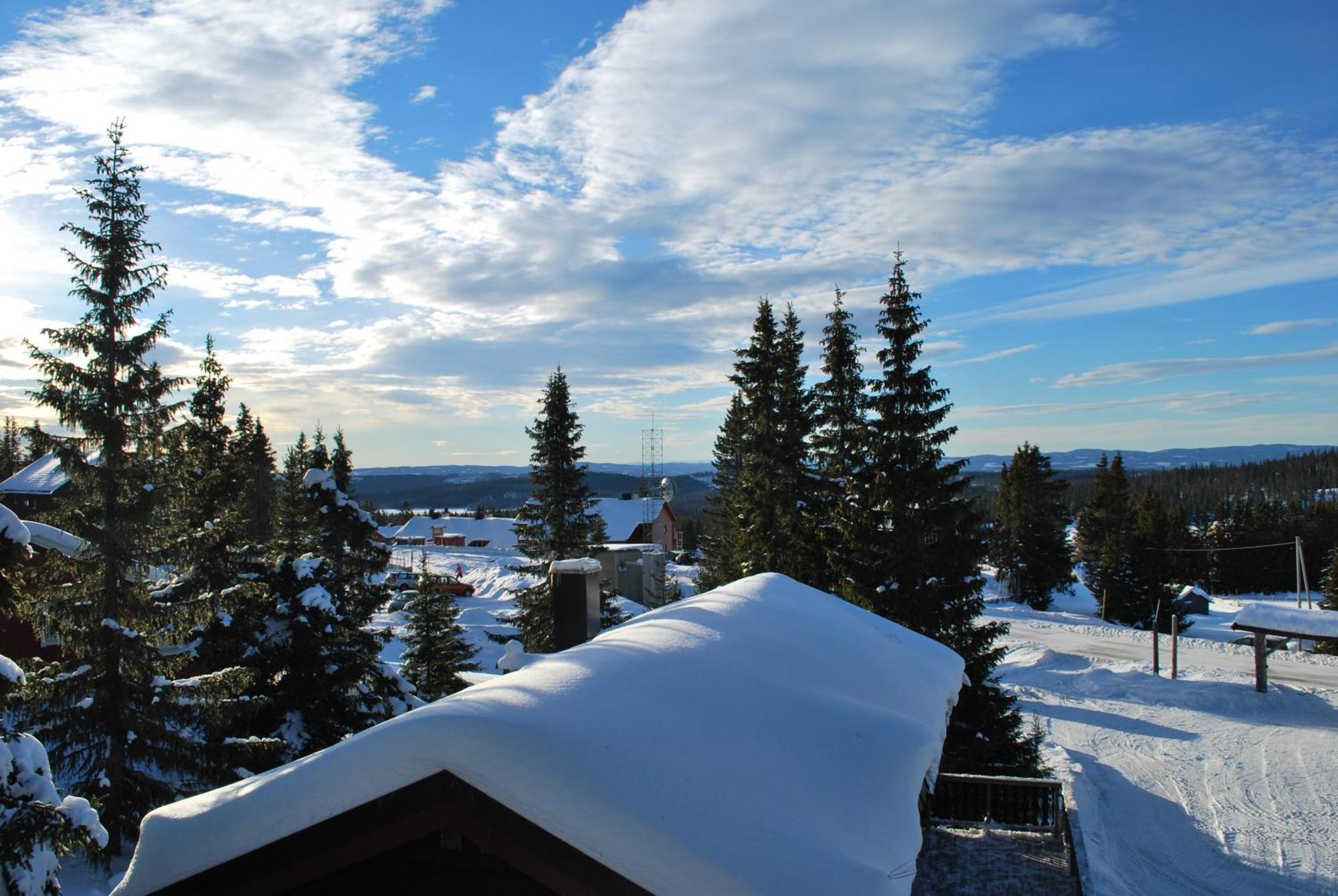 Nordseter Fjellpark, Hyttegrend المظهر الخارجي الصورة